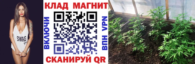 Наркота Подпорожье COCAIN  МЕФ  A-PVP  Псилоцибиновые грибы  МЕТАДОН  Марихуана 