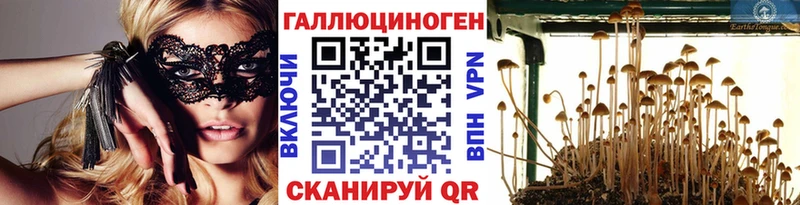 Псилоцибиновые грибы GOLDEN TEACHER  Подпорожье 